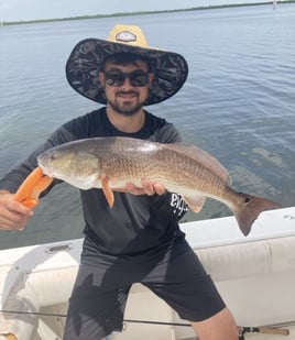 4-8 HR Inshore Trip