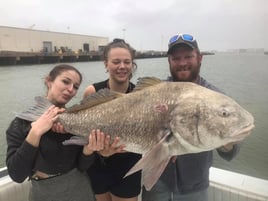 Black Drum Fishing in Galveston, Texas