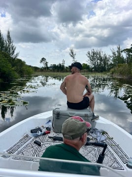 Iguana hunts