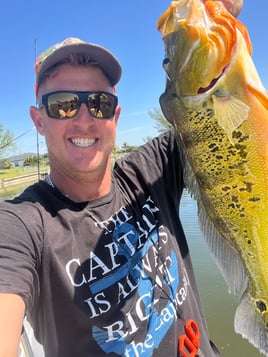 Peacock bass fishing 