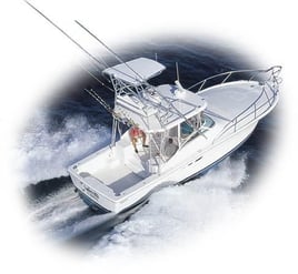 Freeport Run - 38' Luhrs