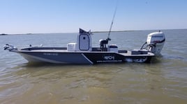 Upper Galveston Bay Trip
