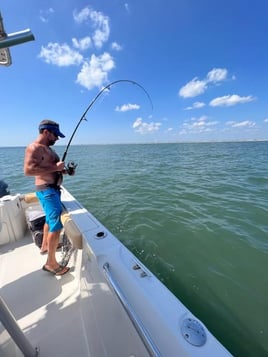 Ocean Wreck and Reef fishing