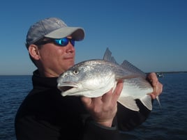 4-5 Hour Inshore Trip