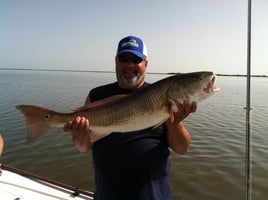 4-5 Hour Inshore Trip