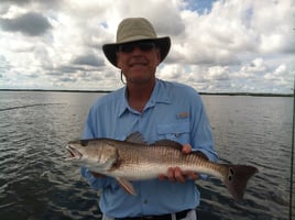 4-5 Hour Inshore Trip