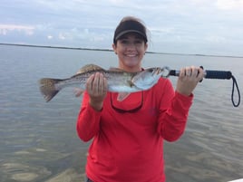 4-5 Hour Inshore Trip