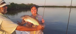 4-5 Hour Inshore Trip