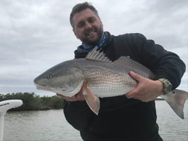 4-5 Hour Inshore Trip