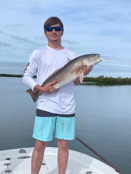 4-5 Hour Inshore Trip