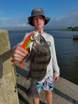 4-8 Hour Inshore Trip