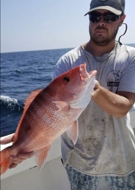 5-10 Hour Offshore Trip