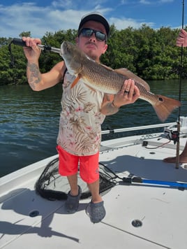 4-6 Hour Inshore Trip