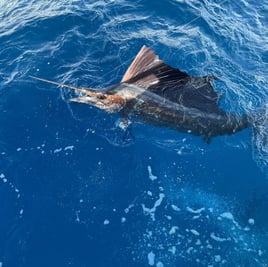 Fort Lauderdale sportfishing