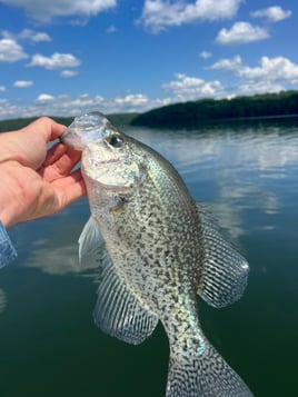 Crappie Fishing Trip