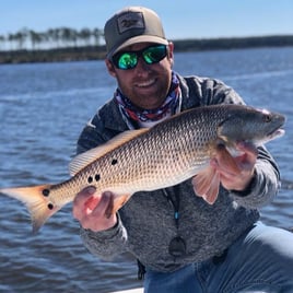 Inshore Fishing Trip