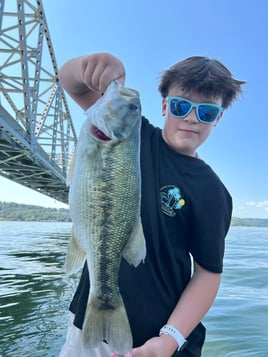 Fishing Branson’s Lakes