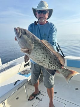 4-8 Hour Offshore Fishing