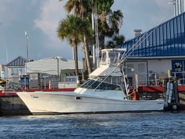 6-10 Hour Trip – Bottom Fishing