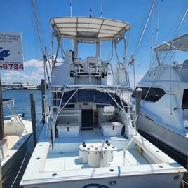 6-10 Hour Trip – Bottom Fishing