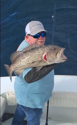 4-6 Hour Trip – Offshore