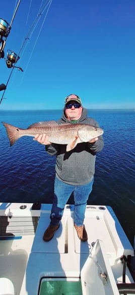 4 Hour Trip – Inshore