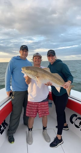 4-5 Hour Inshore Trip 