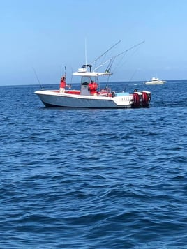 4-5 Hour Inshore Trip 