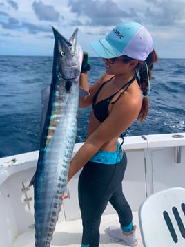 4 hr - Private Fishing Trip