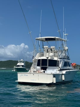 4 hr - Private Fishing Trip