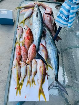 4 hr - Private Fishing Trip