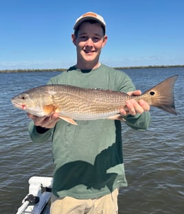 Shallow waters, big memories 