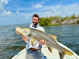 Shallow waters, big memories 