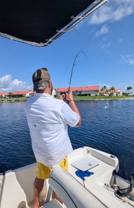 4 to 8 Hour Tarpon Trip