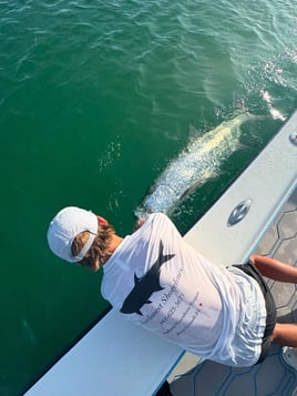 4-8 Hour Tarpon