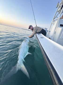 4-8 Hour Tarpon