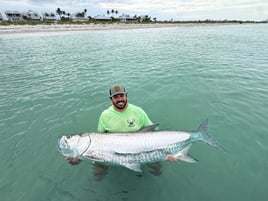 4-8 Hour Tarpon