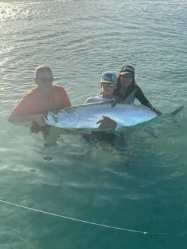 4-8 Hour Tarpon