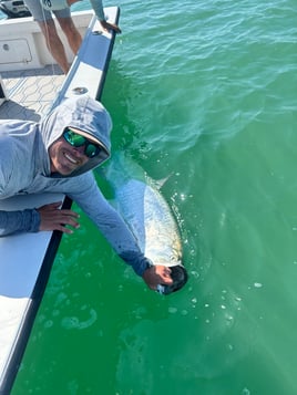 4-8 Hour Tarpon