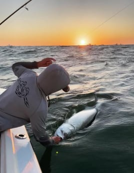 Inshore Fishing Trip