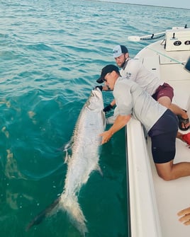 Battle the Silver King 