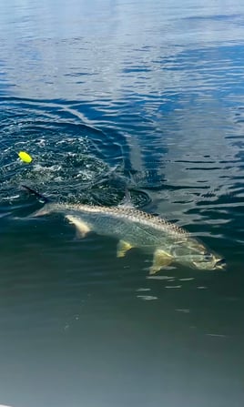 Battle the Silver King 