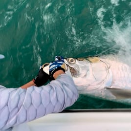 Battle the Silver King 