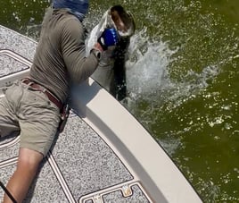 Battle the Silver King 