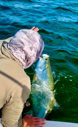 Battle the Silver King 