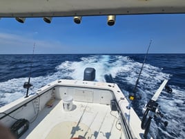 Full day offshore 