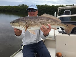 Punta Gorda Fly Fishing Trip