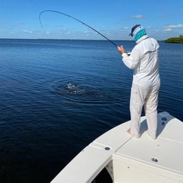 Punta Gorda Fly Fishing Trip