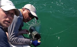 Punta Gorda Fly Fishing Trip