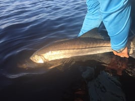 Punta Gorda Fly Fishing Trip